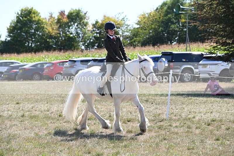 WJ6_8971 - Class 38 Ridden Riding Horse/Pony