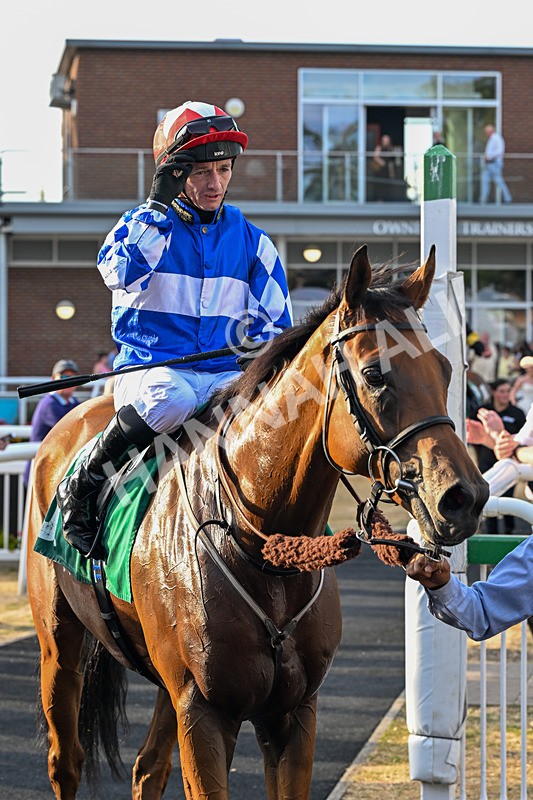 140826-Race 3-Equity Law-1206 - Race 3 18.43pm Heineken 0% Handicap