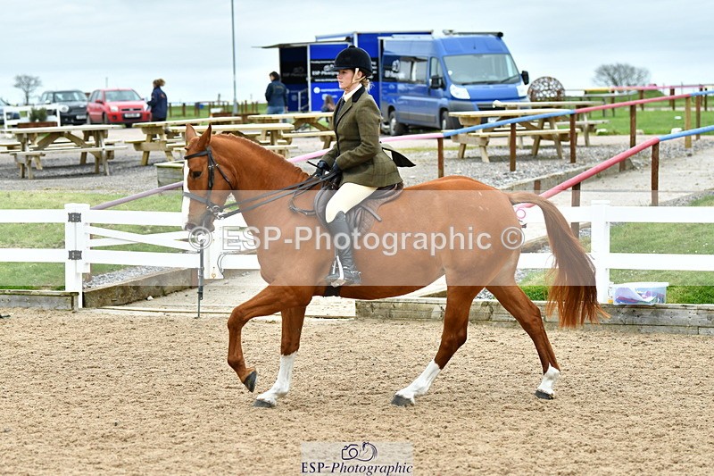 230416A-143118-05259 - Cls 74 Warmblood