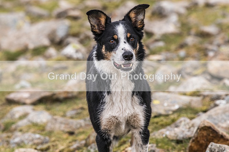 Ennerdale-764 - Ennerdale Horseshoe Fell Race Saturday 6th June 2026