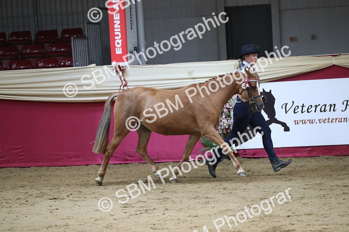 SBM_04976 - Class 8R- Regional -IH Veteran