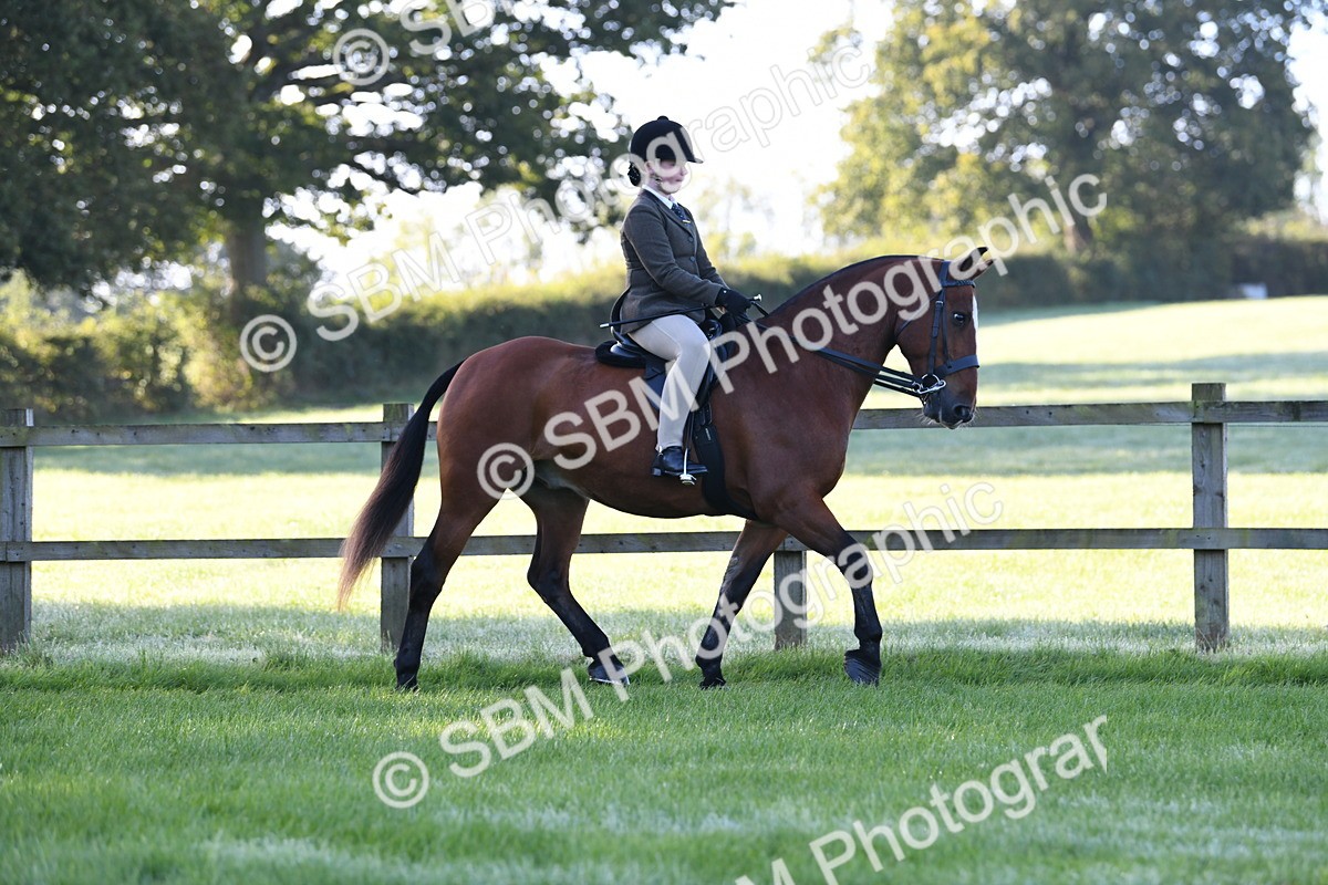 SBM_33959 - S16 - Condition & Turnout - Ridden