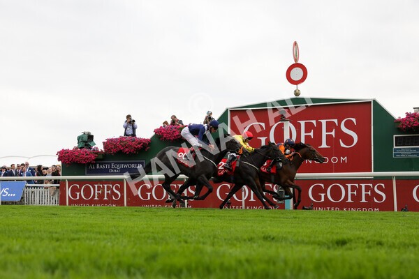 yr19082021r2-17 - Race 2 2.25pm Goffs UK Premier Yearling Stakes