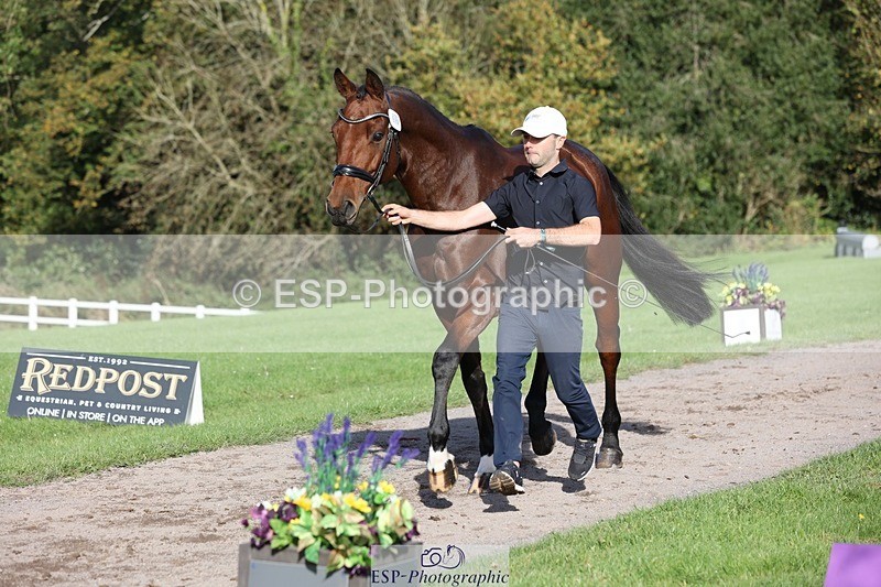 241027-103111-15938 - 584-Tommy.Greengard-I'M.ALL.IN