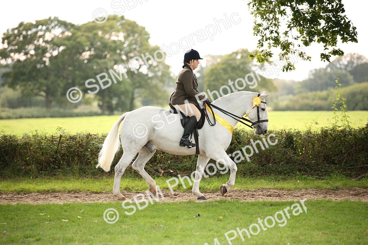 SBM_73619 - Ridden Horse Supreme Championship