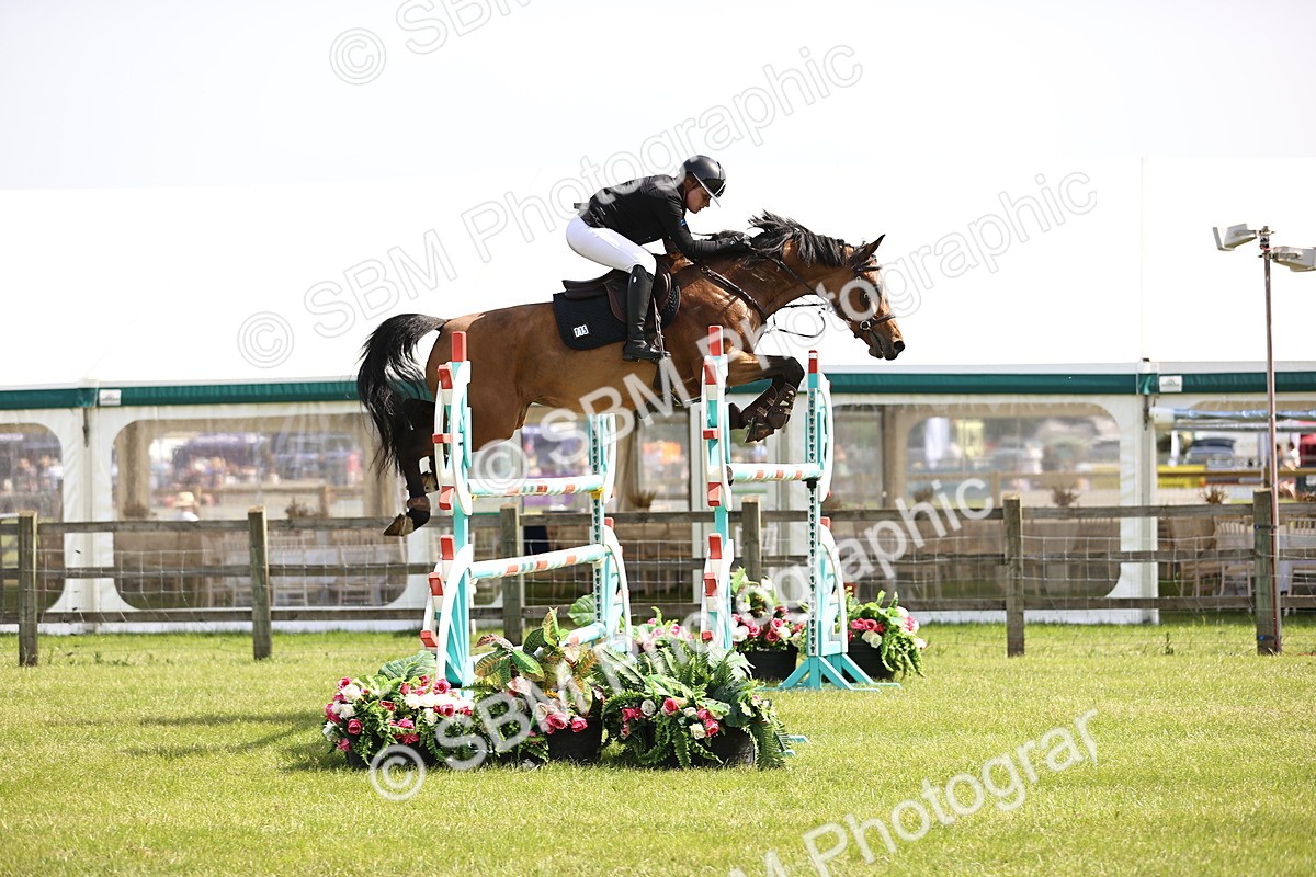 SBM_03100 - Class 201 - British Horse Feedds Speedi Beet HOYS Grade C