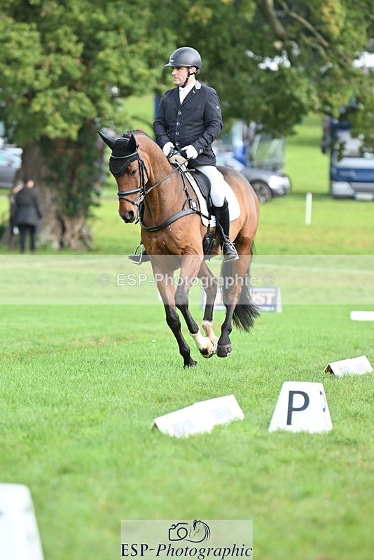 231020-101527-07575 - 683-ALVESCOT.FIVE.STAR-Mark.Ford-DR