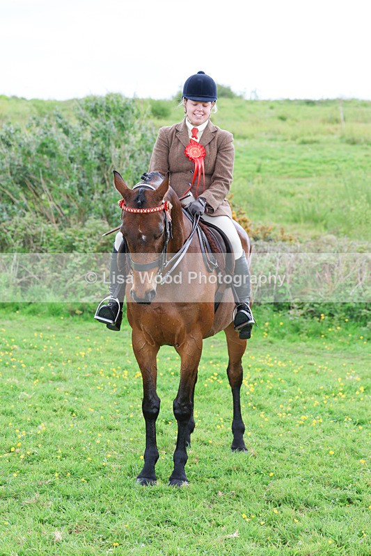 3E7A2031 - Class 10: Ridden Sports Horse