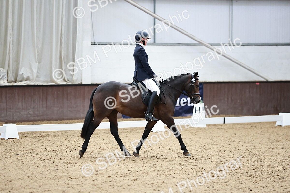 SBM_014187 - Class 7 - Ele FSM Bronze 12.12.13.08