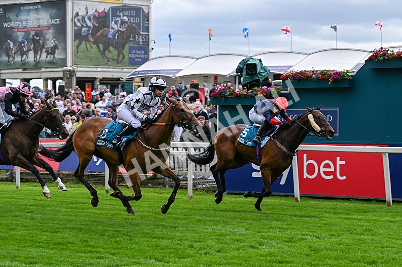 130626-Race 1-Dunkeld Dreamer-0552 - Race 1 13.50pm Queen Mother's Cup Handicap