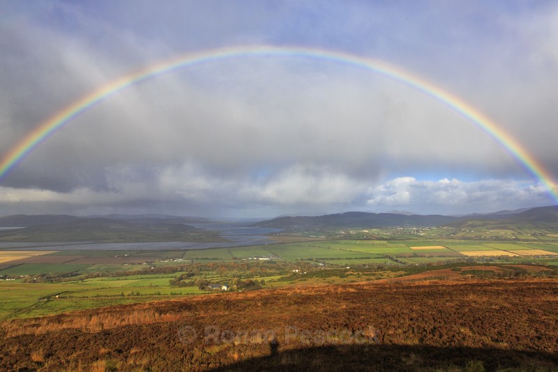 Through the Rainbow