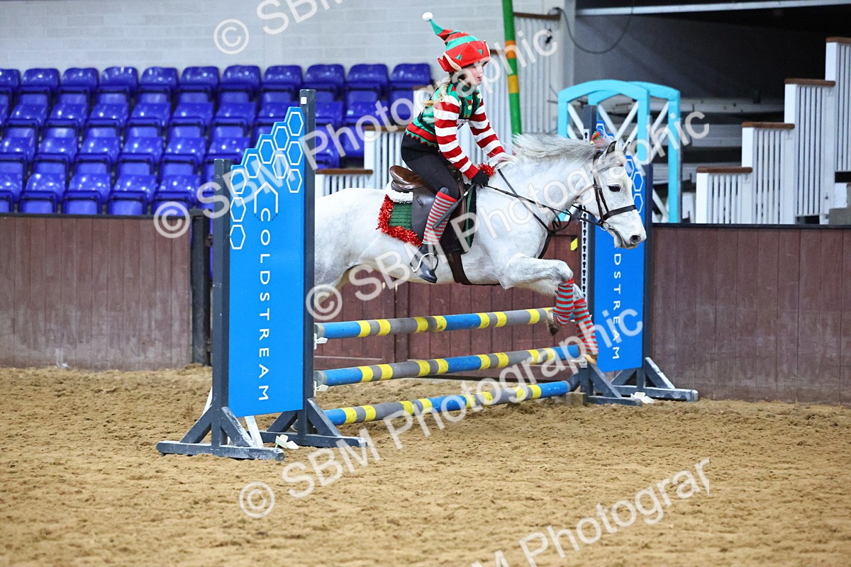 SBM_001356 - Class 3 - Christmas Tree Stakes - 60cm