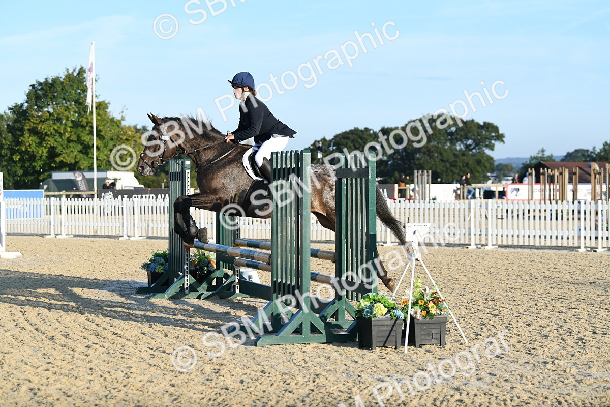 SBM_58027 - J24 - Junior Horse 75cm Championship