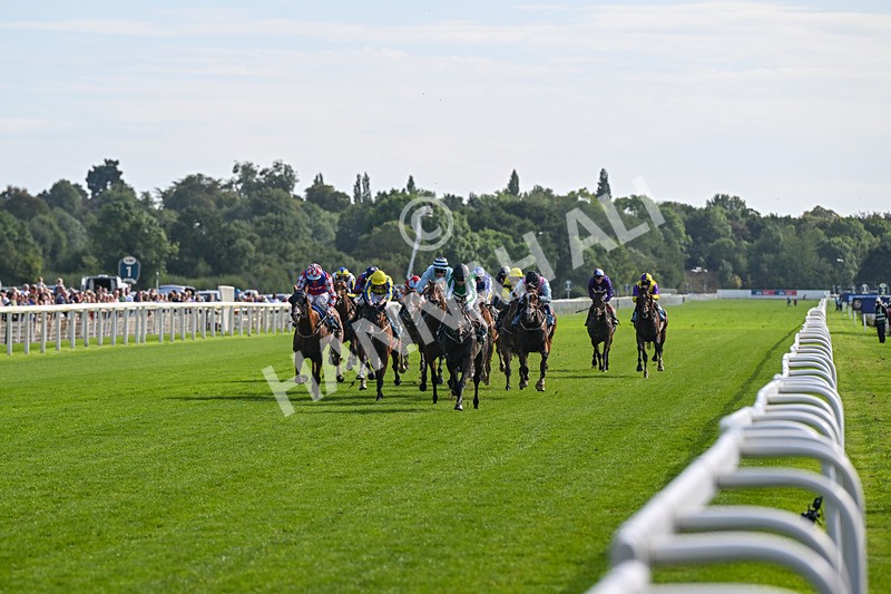 060926-Race 4-Stoneacre Donny-7983 - Race 4 3.15pm Saltmoore Collection Handicap