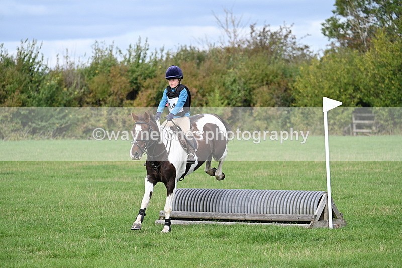 WJ7_8405 - 60cm Pairs