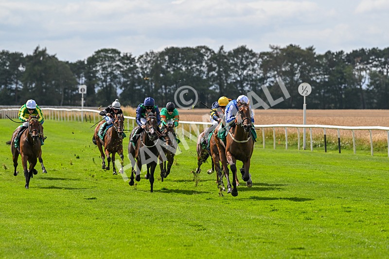 080825-Race 2-Daneh Of Dandy-1973 - Race 2