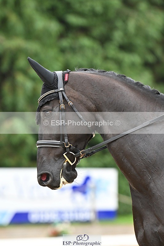 240811-115658-05305 - 118-Katie.Kneen-Springtime.Evergreen