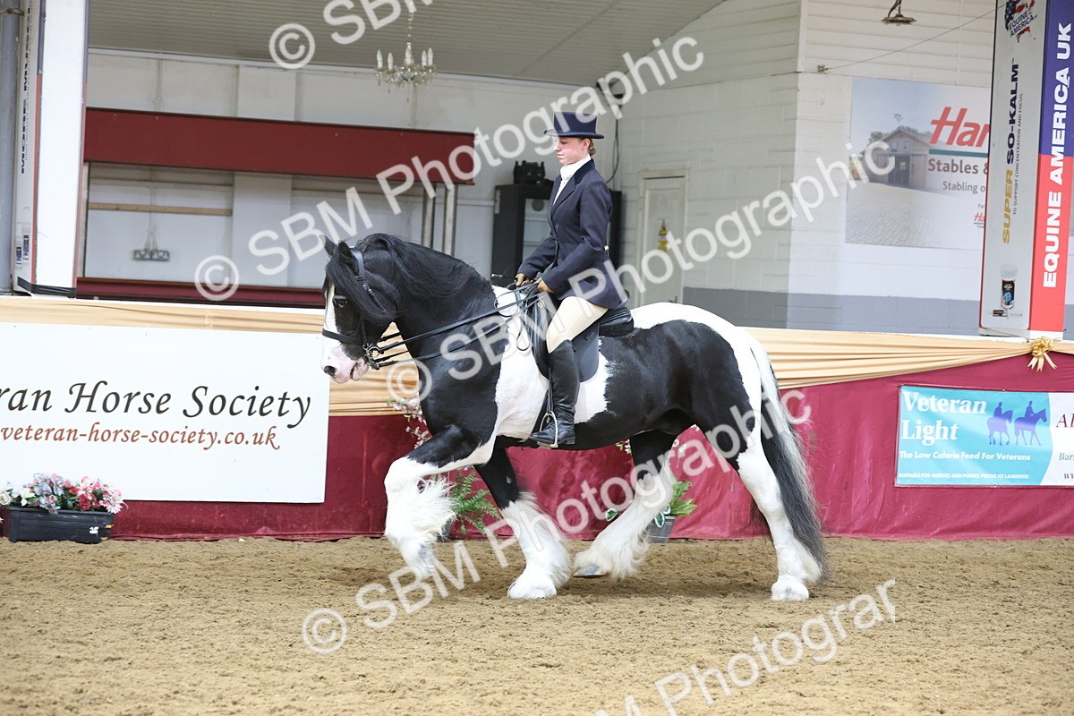 SBM_23790 - class 906 - Supreme Final - Ridden Pre Vet