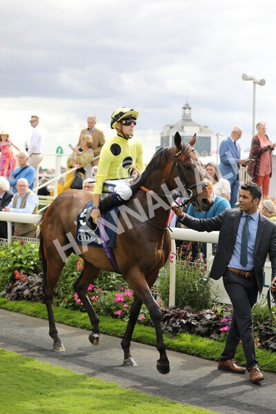 yr19082022r4-44 - Race 4 3.35pm Coolmore Wootton Bassett Nunthorpe Stakes (British Champion Series Race)