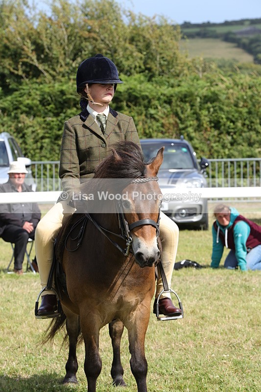 1X9A5631 - Class 39: NPS Dartmoor, Exmoor, Shetland