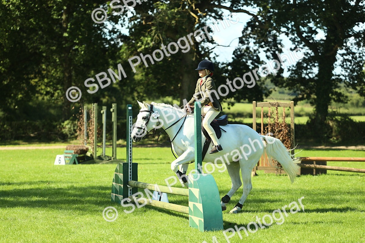 SBM_39133 - S29 - Novice & Newcomers Working Hunter Pony
