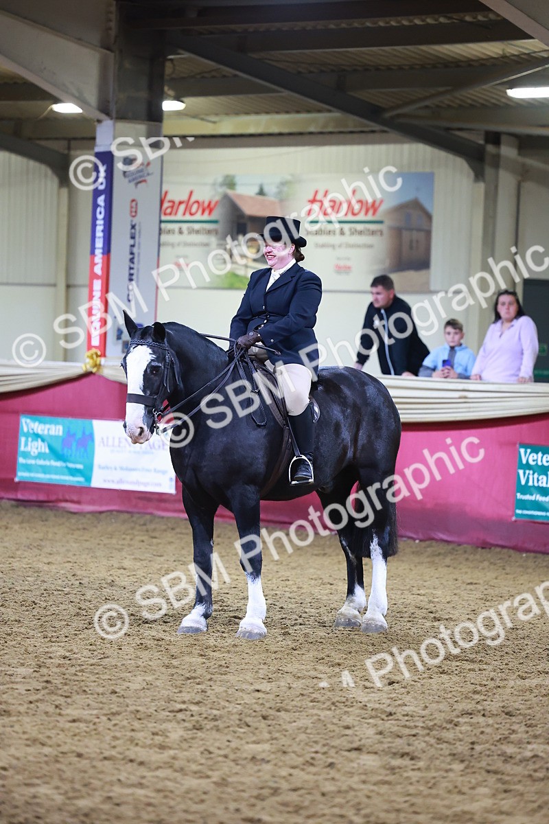 SBM_15720 - Class T - Working Veteran Champ