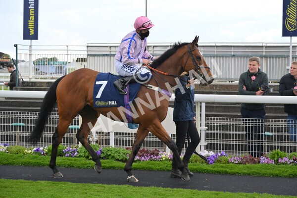 yr22052021r4-21 - Race 4 3.50pm WilliamHill.com Best Odds Guaranteed Stakes