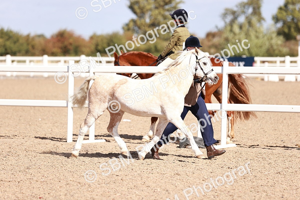 SBM_22949 - Class 707 - IH groom Helpers Class