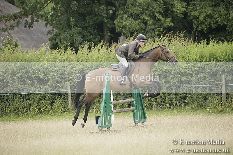 B230619-0879 - Bourne Valley Riding Club Summer Show 23/06/19
