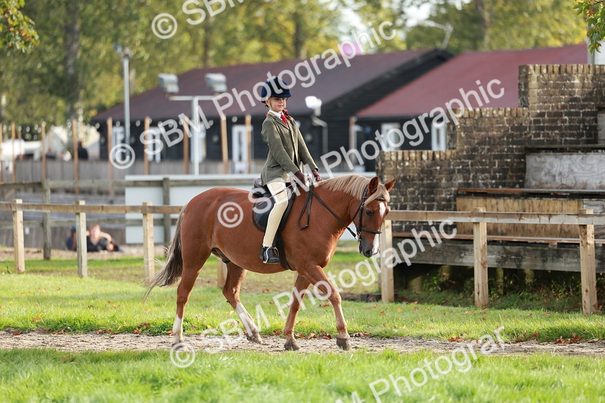 SBM_56361 - S39 - Starters In Hand Showing
