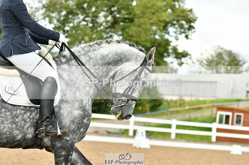 230912A-160843-01720 - Cls 14 Adv Medium 98