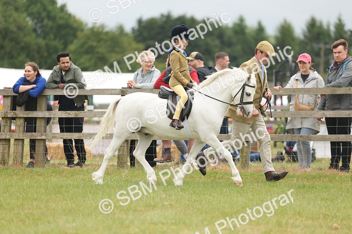 SBM_06701 - Class 74-75 - M&M Lead Rein and First Ridden Pony