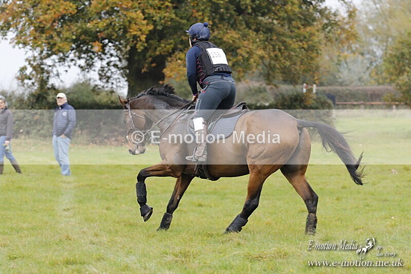 WWHT 181020 WWHT 181020 582 - WWEC Open Novice (0.80m) 18/10/20