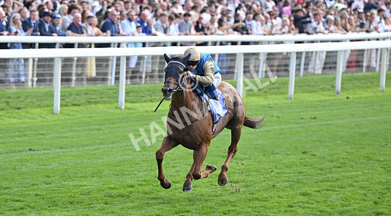 220826-003 Archivist - Race 1 13.50pm Sky Bet Strensall Stakes