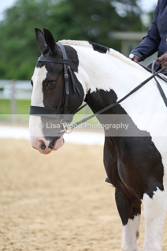 3E7A9443 - Class 2: Intro 1 2024 Section B