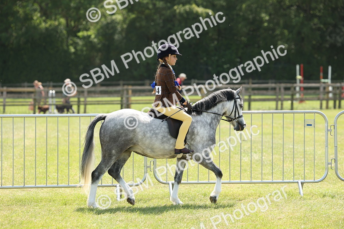 SBM_05325 - Class 24-25 - Mountain & Moorland In Hand Lead Rein and First Ridden