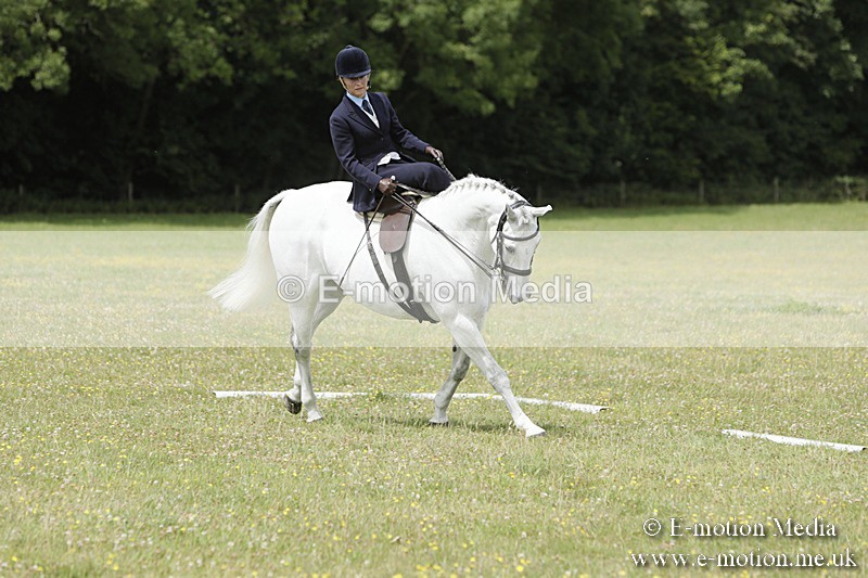 BVR160717-2059 - Class 4 & 5 Dressage 16/07/17