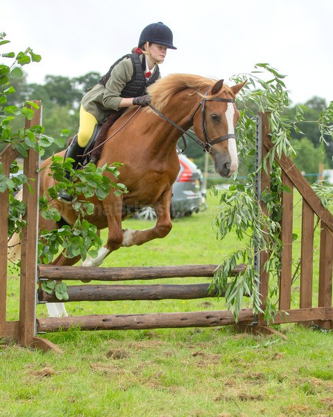 Dunblane show-161 - Dunblane and Doune Show Ring 1