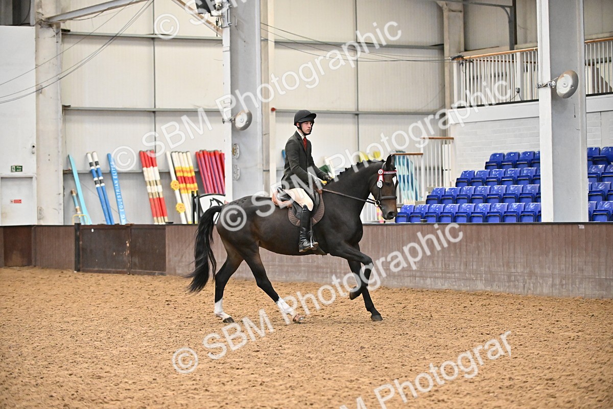 SBM_002346 - Class 22 - BSHA Ridden Hack & Riding Horse