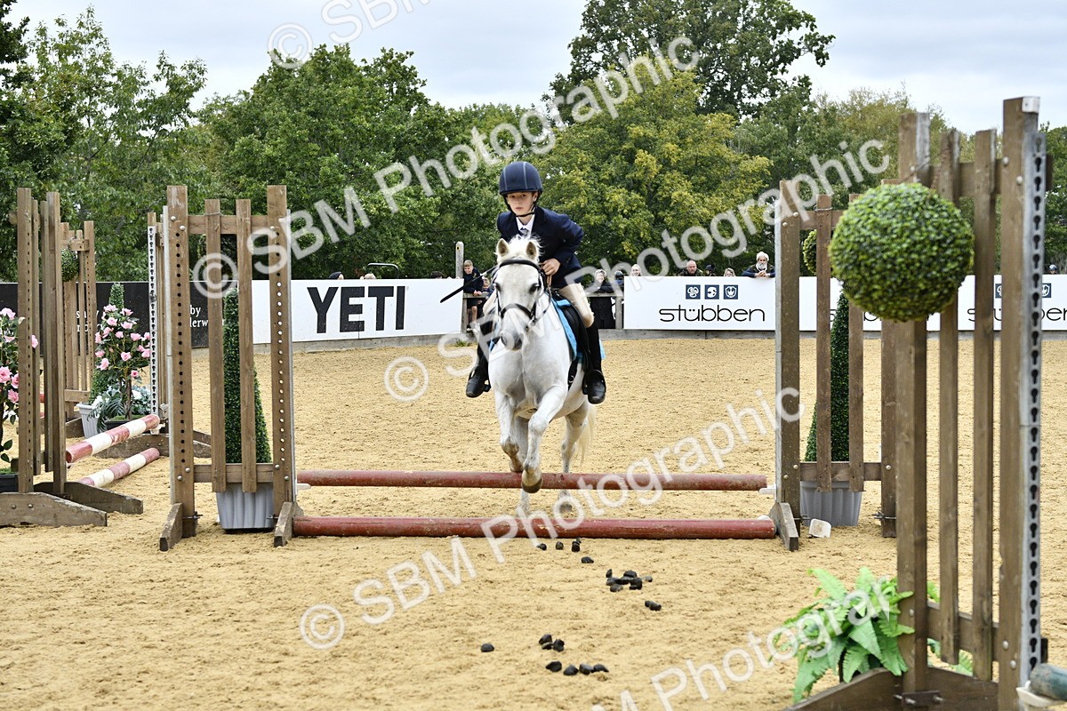 SBM_68032 - J2b - Mini Tour Junior Pony 30cm championship