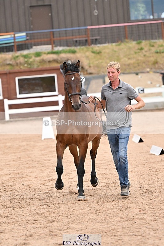 250716-151418-01807 - Trot Up 2.30 to 3.30