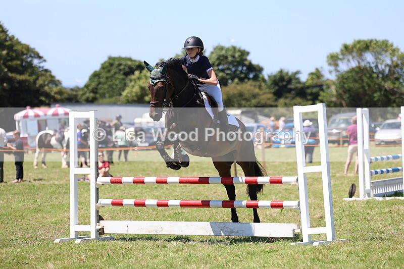 3E7A5528 - Class 9: Senior British Novice/90cm open