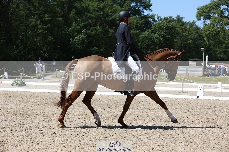 230526-115518-06129 - 157-GODSEND_DU_GIVRE-Henry_Dove-WEDTrotUp+DR