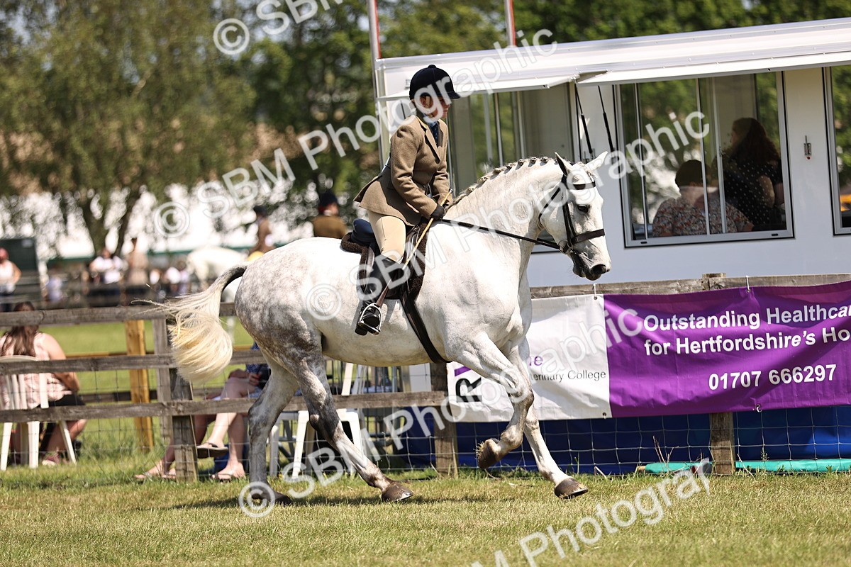SBM_15066 - Class 79-80 - LIHS BSHA Rising Star Ridden Hunter