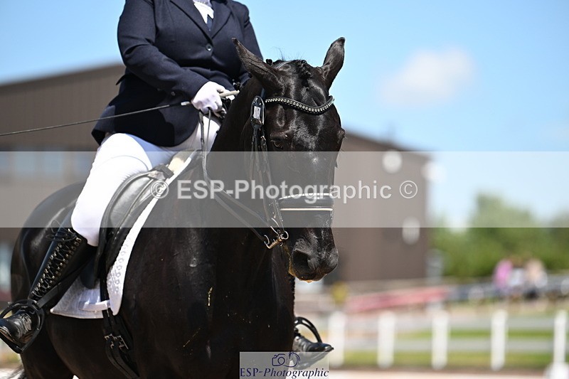 240621A-133734-04109 - Cls 8 BD Elementary 53