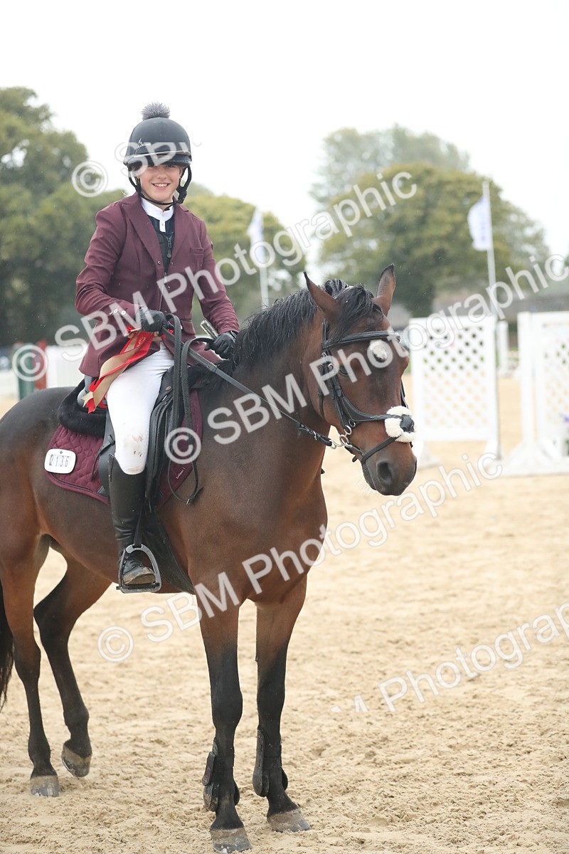 SBM_74308 - Supreme championship Junior Pony 70cm 75cm