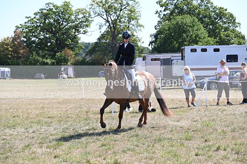 WJ6_8858 - Class 38 Ridden Riding Horse/Pony