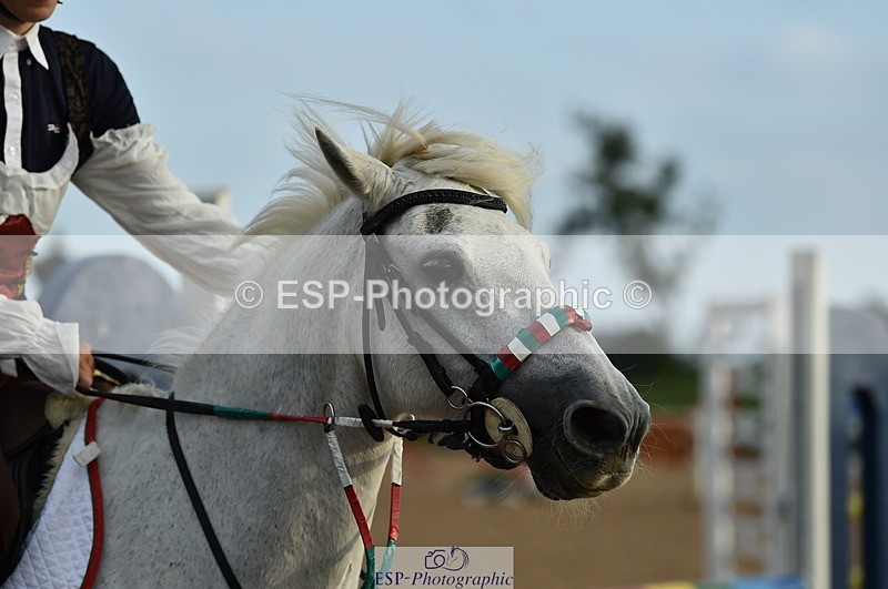 230902A-180740-02465 - Evening Ride and Run