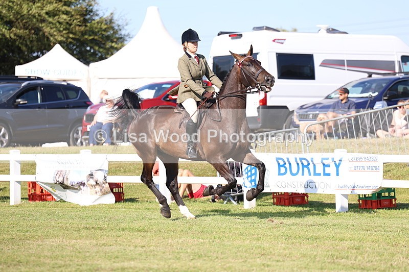 3E7A5575 - Class 2: Rising Star Large Hack/Riding Horse