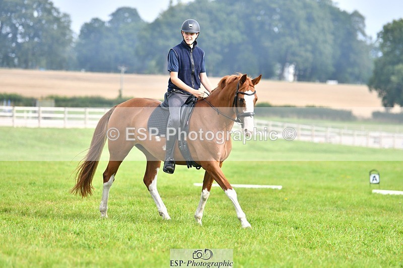230817-091749-02517 - Abbie's 1st Group - Dressage